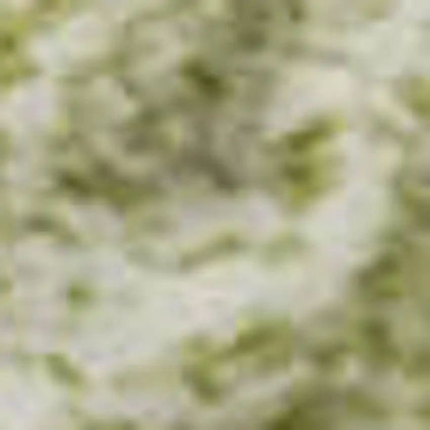 Artichoke Green Ivory And Beige Striped Washable Area Rug With UV Protection Photo 2