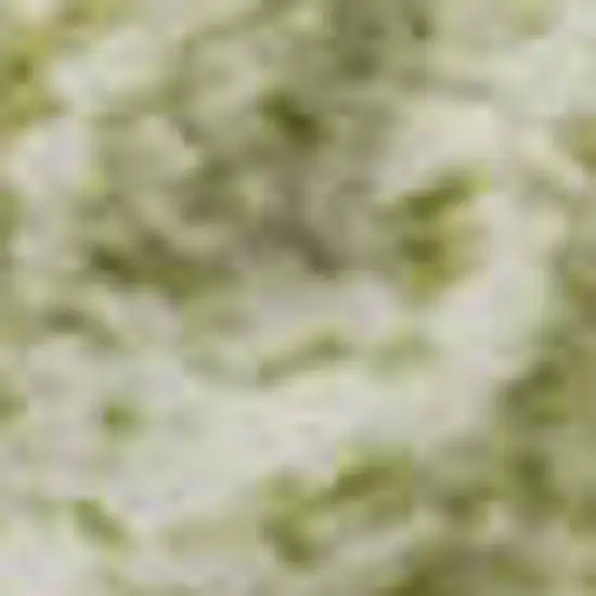 Artichoke Green Ivory And Beige Striped Washable Area Rug With UV Protection Photo 2