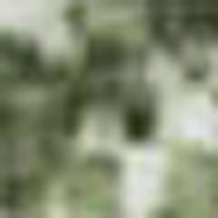 Artichoke Green Lavender And Taupe Abstract Washable Area Rug With UV Protection Photo 1