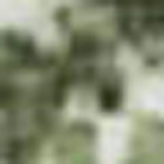 Artichoke Green Lavender And Taupe Abstract Washable Area Rug With UV Protection Photo 1