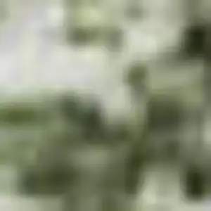 Photo of Artichoke Green Lavender And Taupe Abstract Washable Area Rug With UV Protection