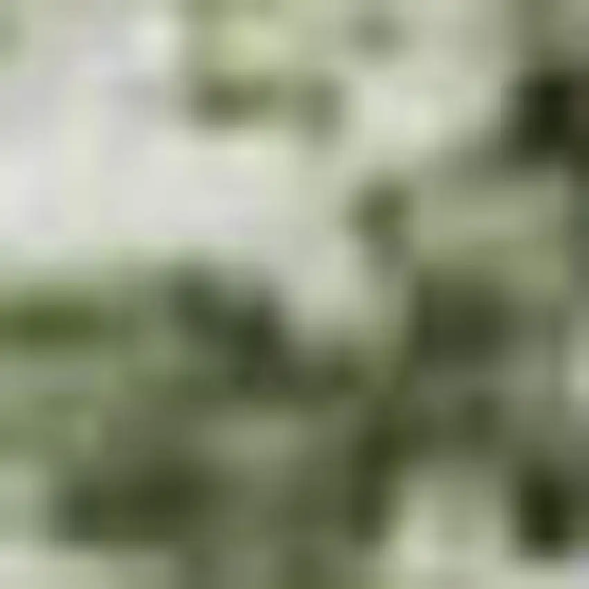 Artichoke Green Lavender And Taupe Abstract Washable Area Rug With UV Protection Photo 1