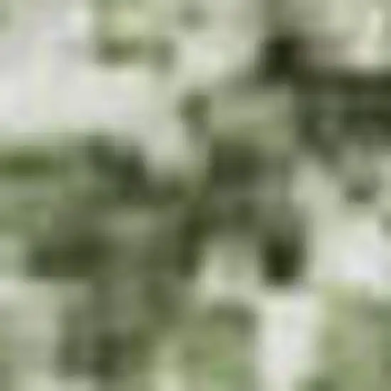 Artichoke Green Lavender And Taupe Abstract Washable Area Rug With UV Protection Photo 4