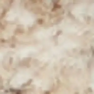 Photo of Beige Abstract Power Loom Area Rug