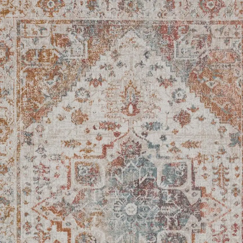 Beige Indoor Outdoor Area Rug Photo 5