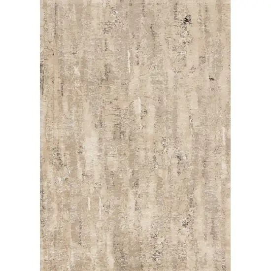 Beige And Black Area Rug Photo 2