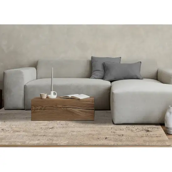 Beige And Black Area Rug Photo 5