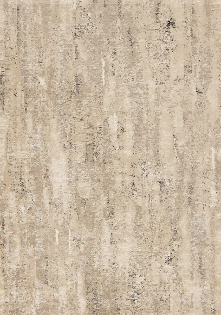 Beige And Black Area Rug Photo 2