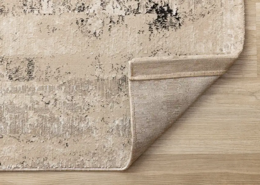 Beige And Black Area Rug Photo 8