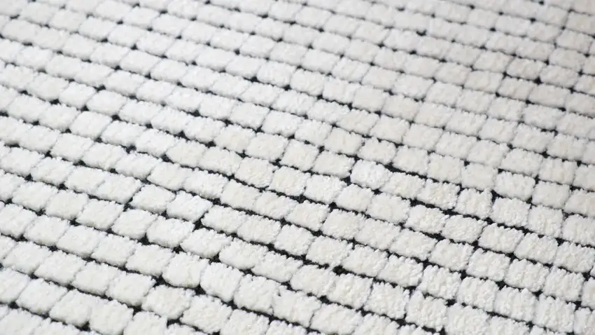 Beige And Black Checkered Area Rug Photo 7