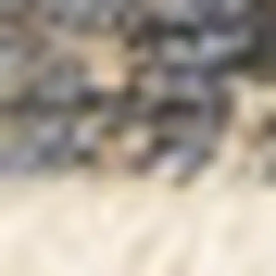 Beige And Blue Abstract Area Rug Photo 5