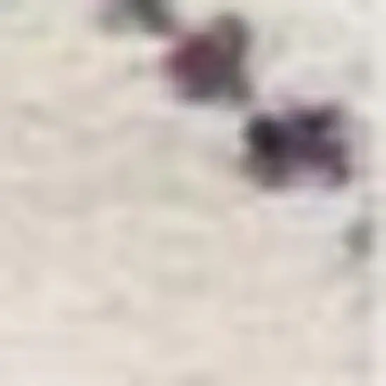 Beige And Blue Abstract Runner Rug Photo 5