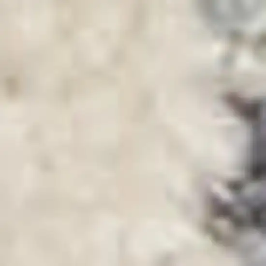 Beige And Blue Floral Medallion Distressed Area Rug With Fringe Photo 2