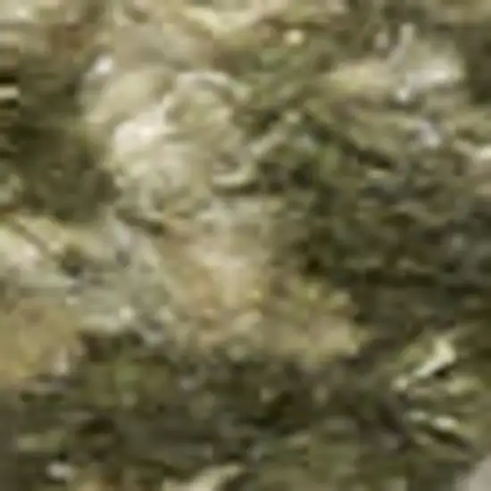 Beige And Blue Floral Medallion Washable Area Rug Photo 2