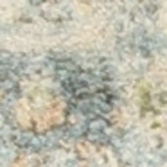 Beige And Blue Floral Medallion Washable Area Rug Photo 7