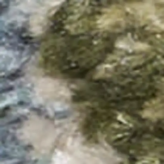 Beige And Blue Floral Medallion Washable Area Rug Photo 3