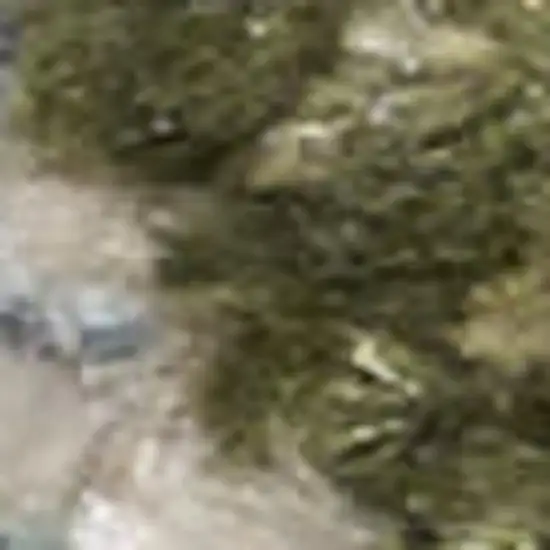 Beige And Blue Floral Medallion Washable Area Rug Photo 2