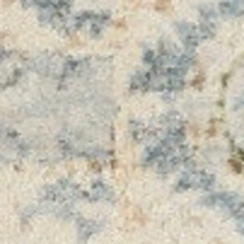 Beige And Blue Floral Medallion Washable Area Rug Photo 9