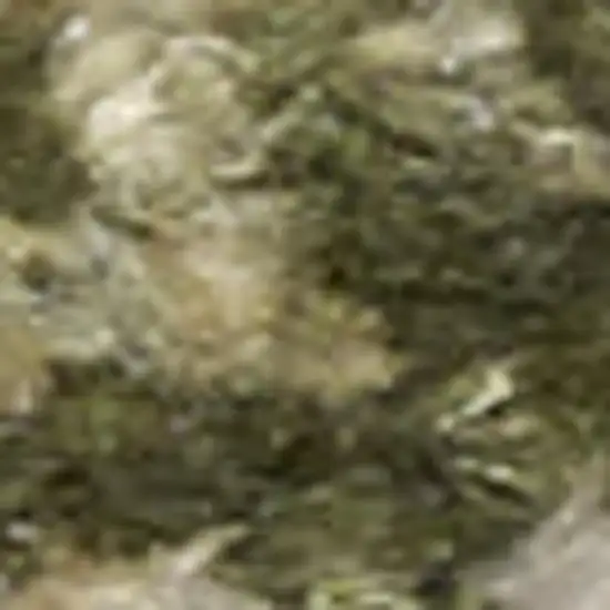 Beige And Blue Floral Medallion Washable Area Rug Photo 2