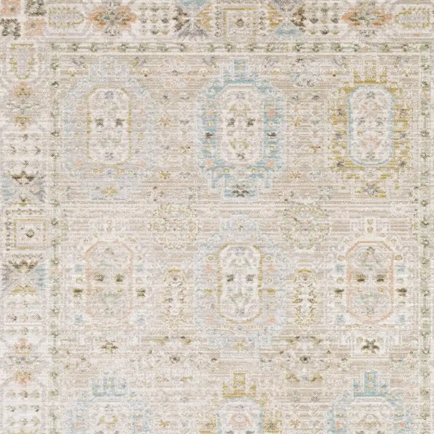 Beige And Blue Oriental Area Rug Photo 3