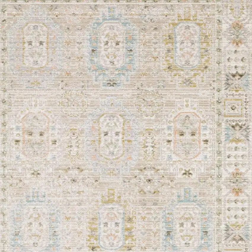 Beige And Blue Oriental Area Rug Photo 3