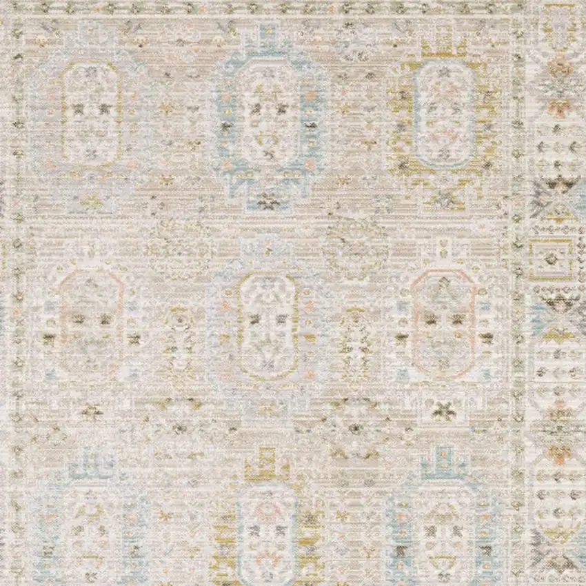 Beige And Blue Oriental Area Rug Photo 3
