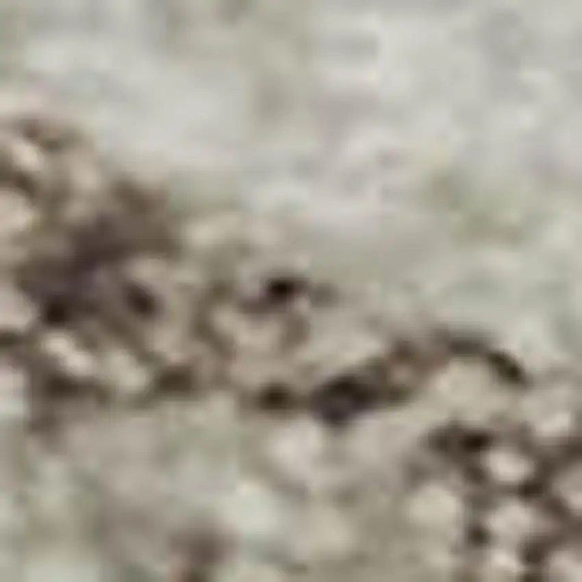 Beige And Brown Abstract Washable Area Rug With UV Protection Photo 2