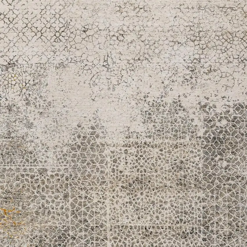 Beige And Brown Abstract Washable Indoor Outdoor Area Rug Photo 3