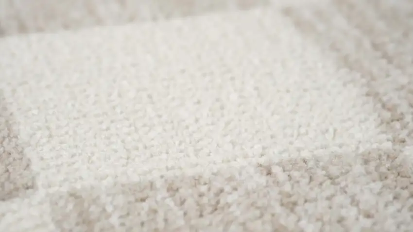 Beige And Brown Checkered Area Rug Photo 7