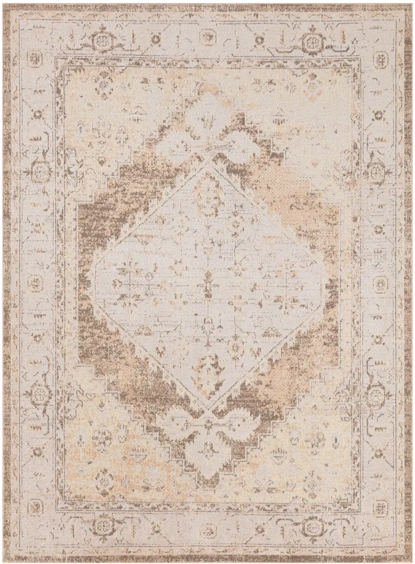 Beige And Brown Floral Distressed Area Rug Photo 6