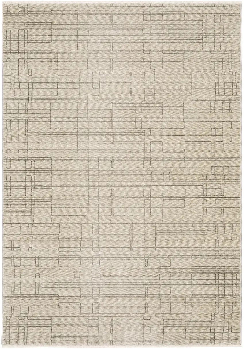 Beige And Brown Geometric Area Rug With Fringe Photo 6