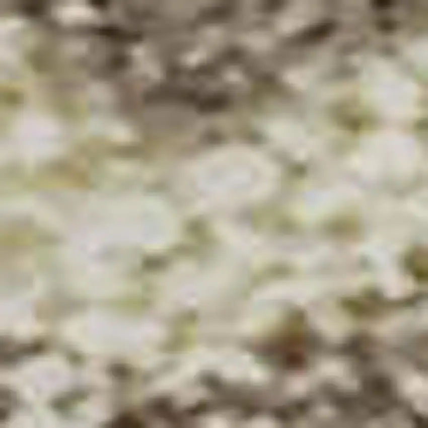 Beige And Brown Striped Washable Area Rug With UV Protection Photo 1