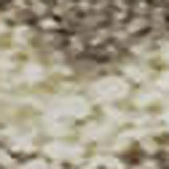 Beige And Brown Striped Washable Area Rug With UV Protection Photo 2