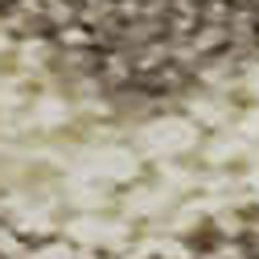 Beige And Brown Striped Washable Area Rug With UV Protection Photo 2