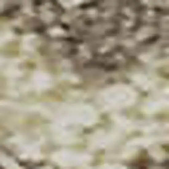 Beige And Brown Striped Washable Area Rug With UV Protection Photo 1