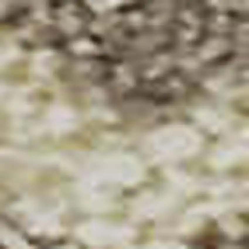 Beige And Brown Striped Washable Area Rug With UV Protection Photo 1