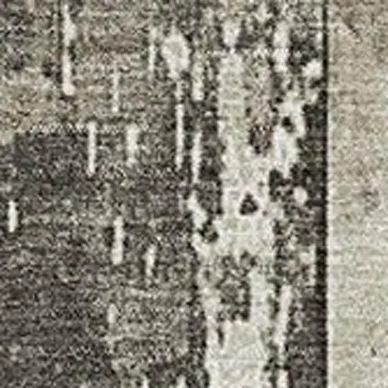 Beige And Charcoal Striped Washable Indoor Outdoor Area Rug Photo 3