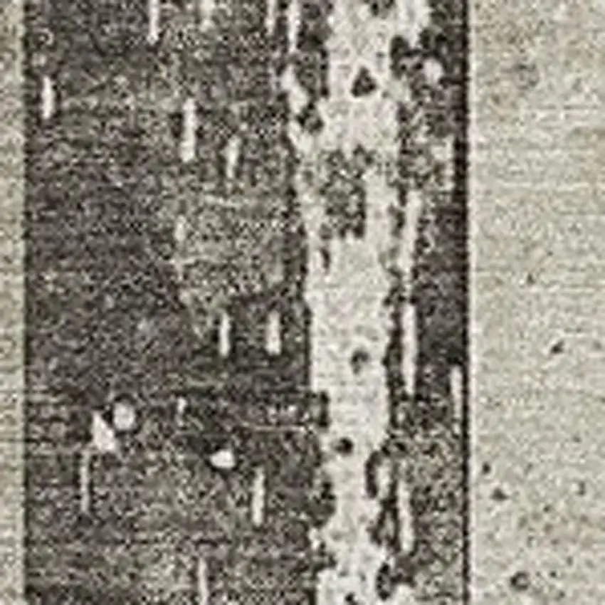 Beige And Charcoal Striped Washable Indoor Outdoor Area Rug Photo 3