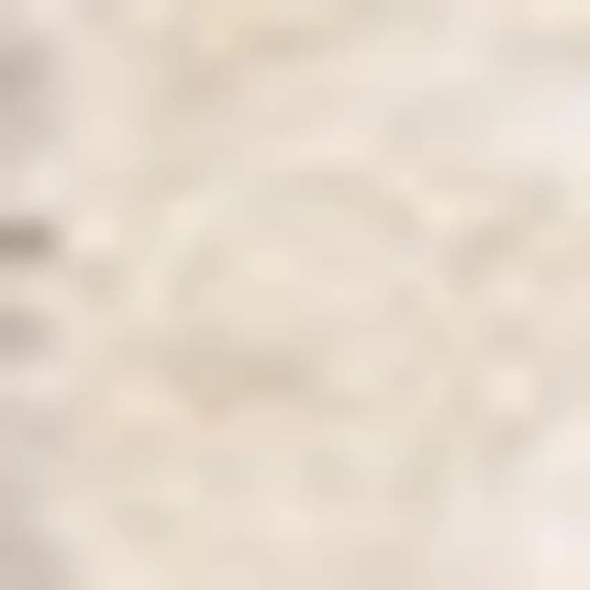 Beige And Cream Chevron Area Rug Photo 4