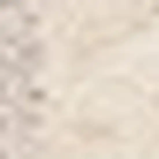 Beige And Cream Chevron Area Rug Photo 4