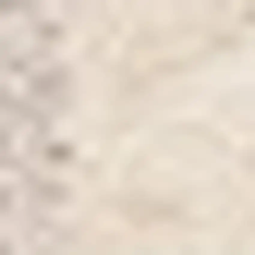 Beige And Cream Chevron Area Rug Photo 4