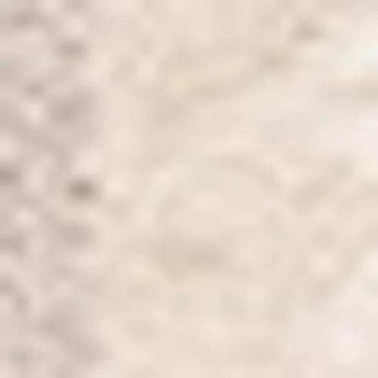 Beige And Cream Chevron Area Rug Photo 5