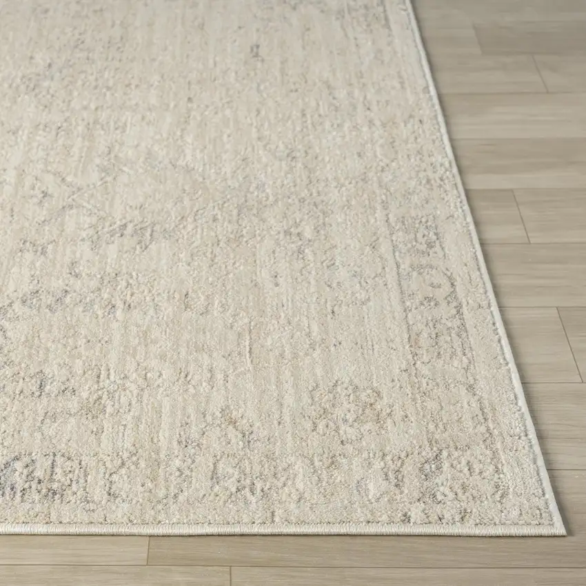 Beige And Gray Abstract Area Rug Photo 4