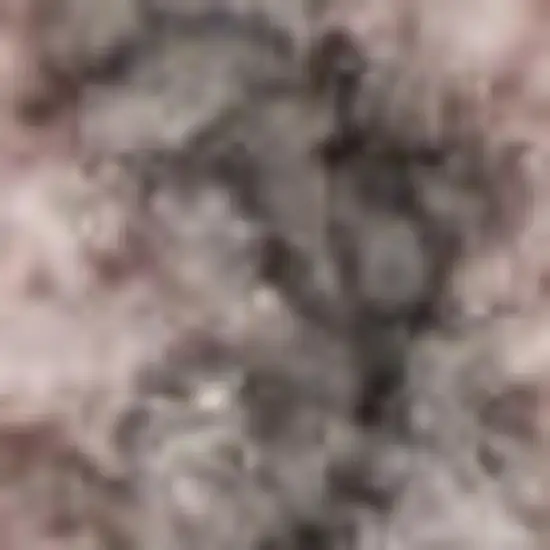 Beige And Gray Floral Area Rug Photo 5