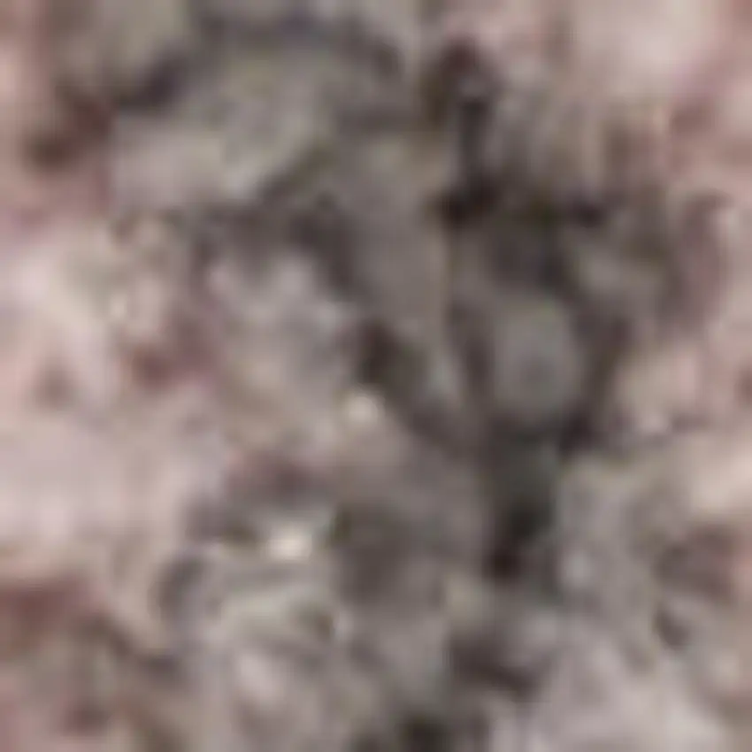 Beige And Gray Floral Area Rug Photo 5