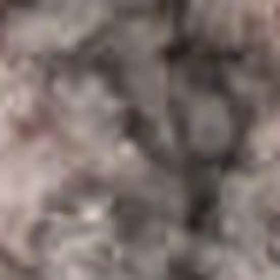 Beige And Gray Floral Area Rug Photo 1