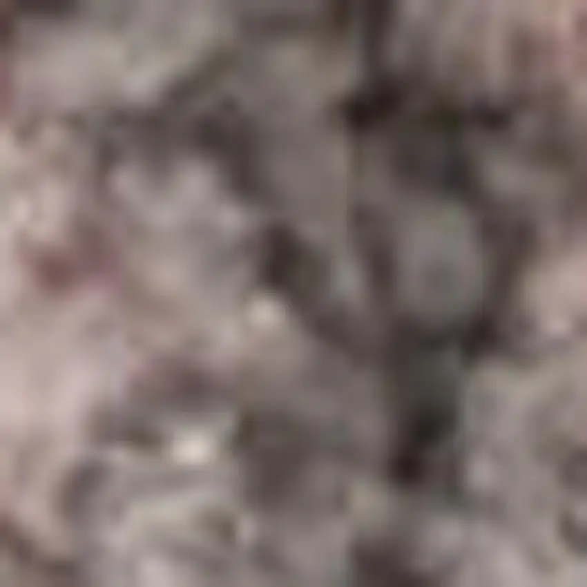 Beige And Gray Floral Area Rug Photo 1