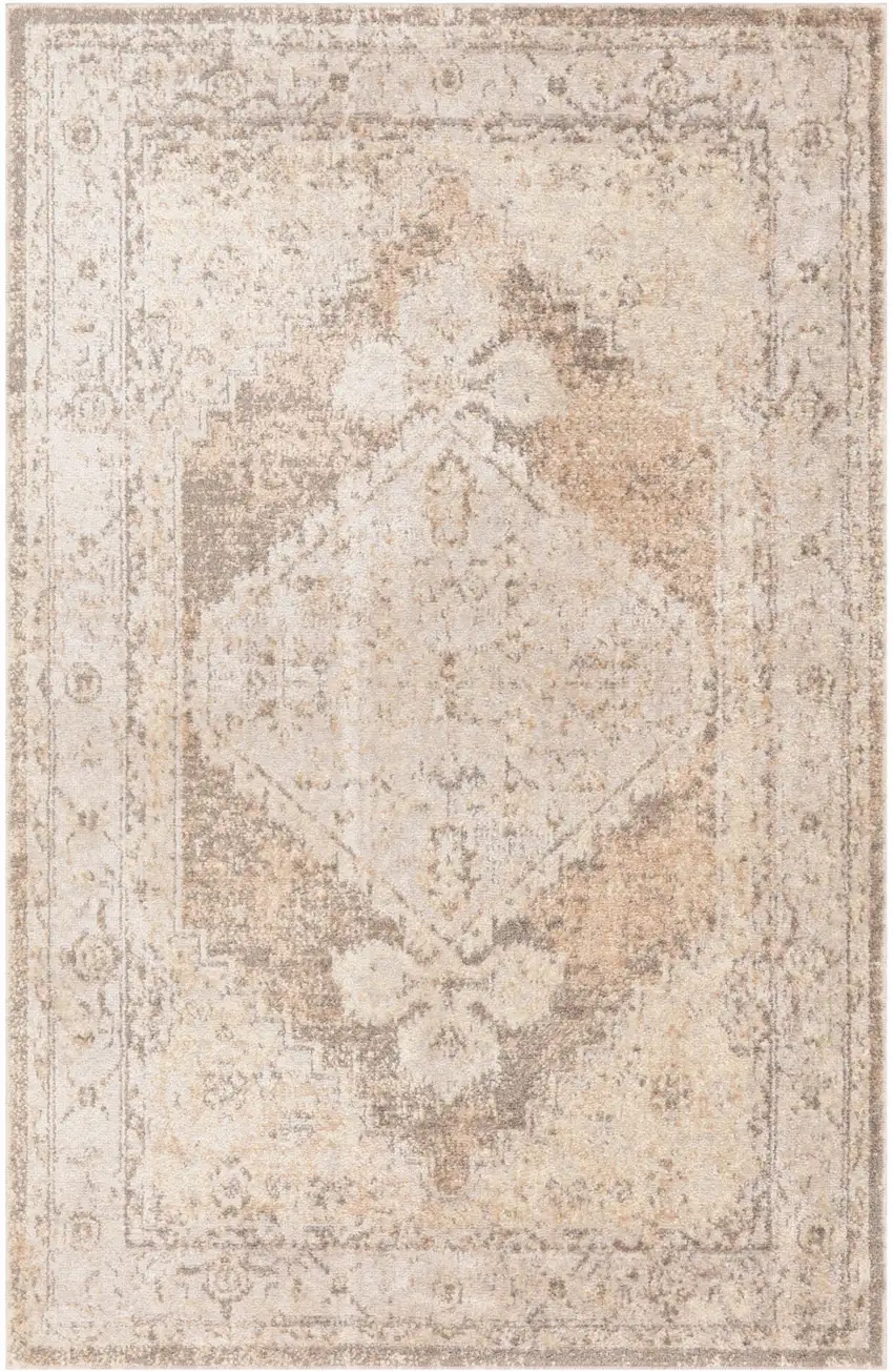 Beige And Gray Floral Distressed Area Rug Photo 8