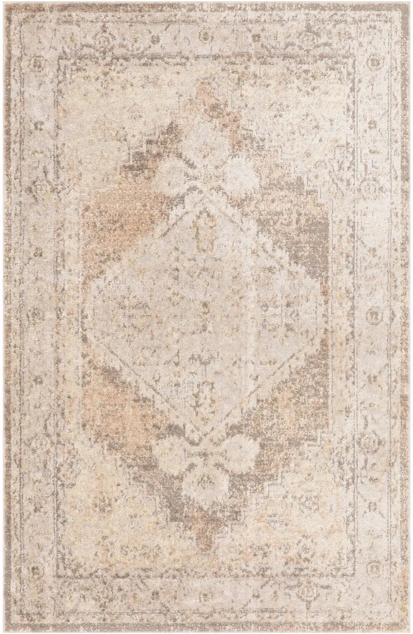 Beige And Gray Floral Distressed Area Rug Photo 9