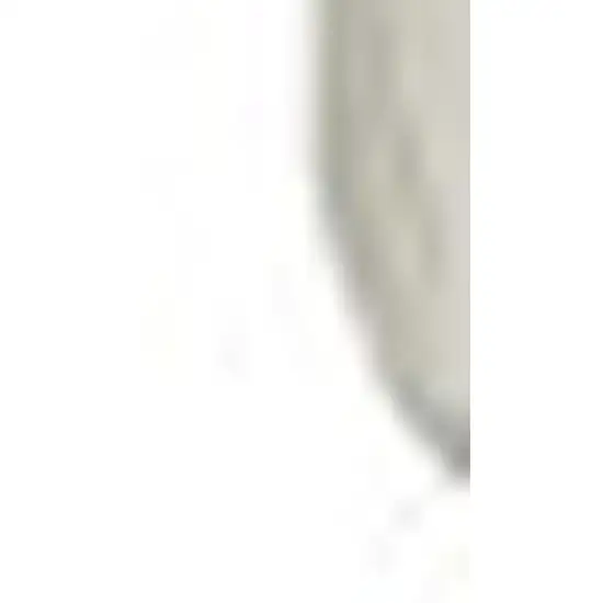 Beige And Gray Geometric Shag Non Skid Area Rug With Fringe Photo 2